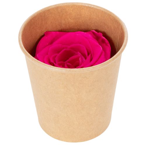 Article Décorations de roses stabilisées, véritables fleurs pour la décoration de table, floraisons uniques et durables, 5 cm, lot de 6