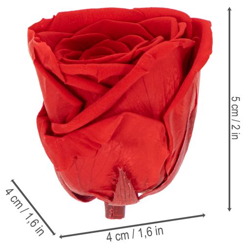 Article Roses stabilisées décoratives, 5 cm, lot de 6, pour une touche romantique dans votre salon ou pour un mariage.