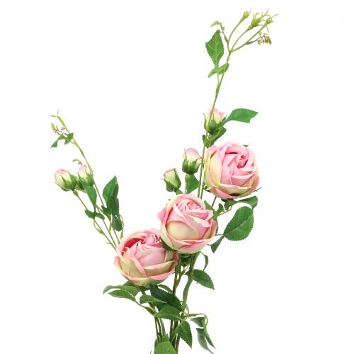 Floristik24 Branche de rose rose 100cm