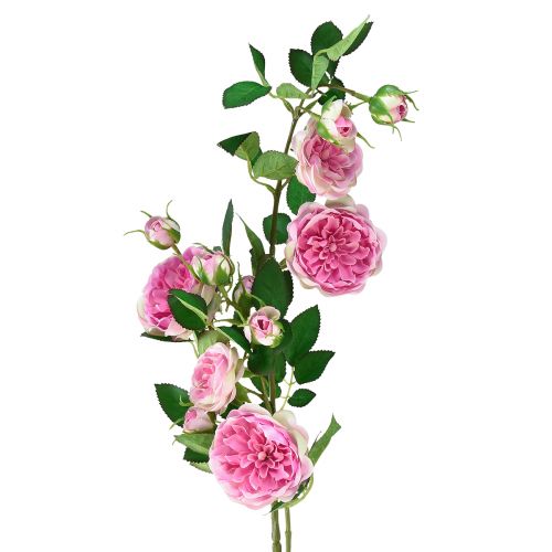 Floristik24 Branche de roses roses en soie branches artificielles roses crème 79cm