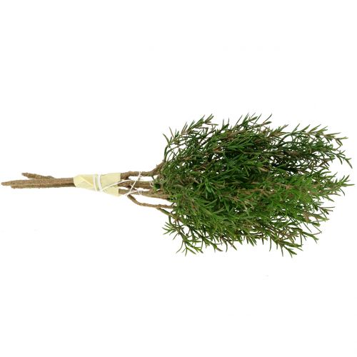 Floristik24 Branche de romarin 36cm 3pcs