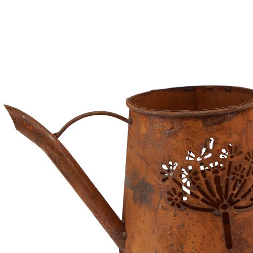 Floristik24 Arrosoir décoratif rouille métal patine pissenlit 25×12×12cm