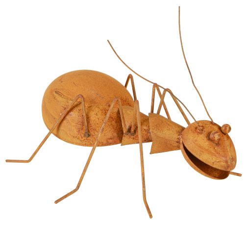 Floristik24 Décoration en rouille Fourmi Décoration en métal Figurine en rouille Jardin 21,5 cm