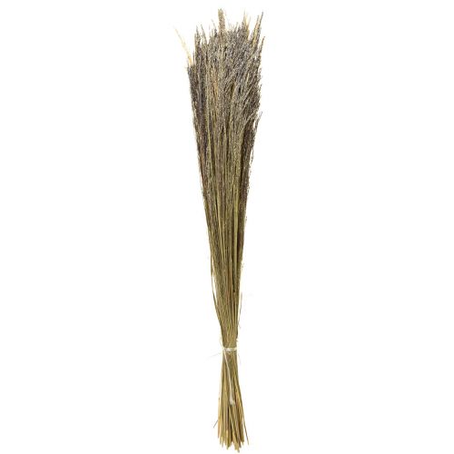 Floristik24 Herbe courbée Agrostis Capillaris Herbe Sèche Nature 60cm 80g