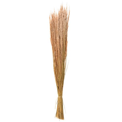 Article Herbe courbée rouge Agrostis Herbe sèche rouge brun 65cm 80g