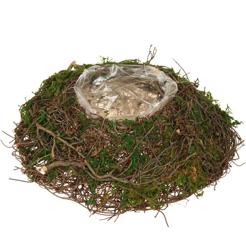 Jardinière ronde en mousse avec feuille Ø20cm H7cm