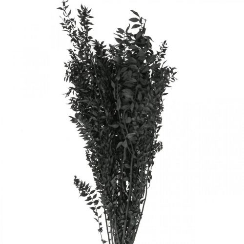 Branches de Ruscus branches décoratives fleurs séchées noires 200g