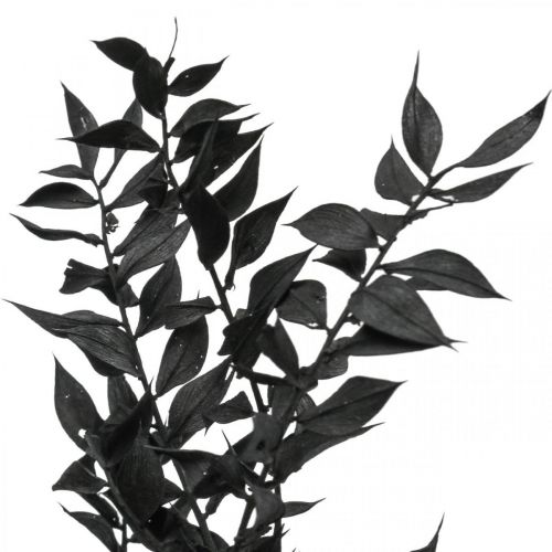 Article Branches de Ruscus branches décoratives fleurs séchées noires 200g