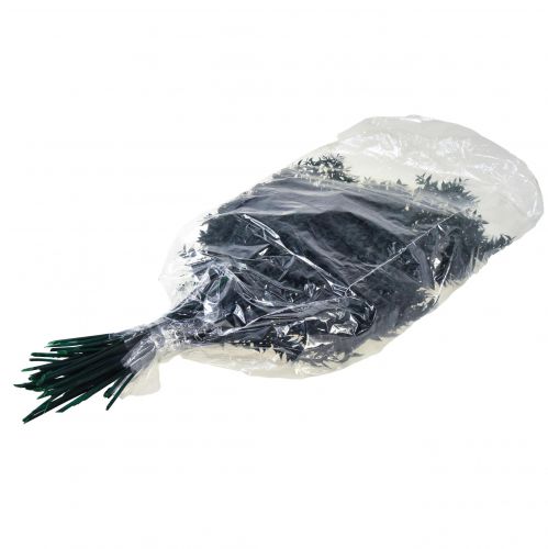 Article Branches décoratives vertes Ruscus vert foncé 75-95cm 1kg