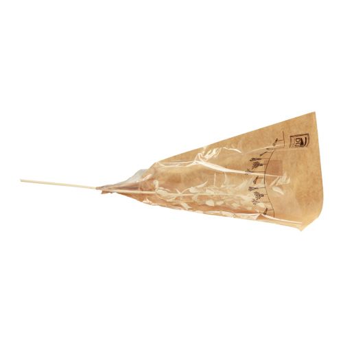 Article Branche décorative séchée Ruscus Ruscus blanchi 62cm 1 pièce