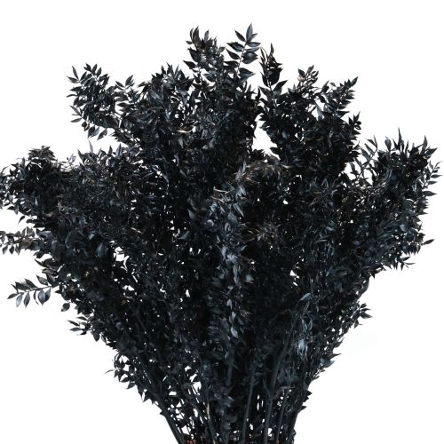 Article Branches décoratives séchées Ruscus Ruscus Noir 1kg