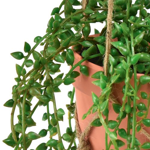 Floristik24 Plantes succulentes artificielles suspendues en pot 34 cm