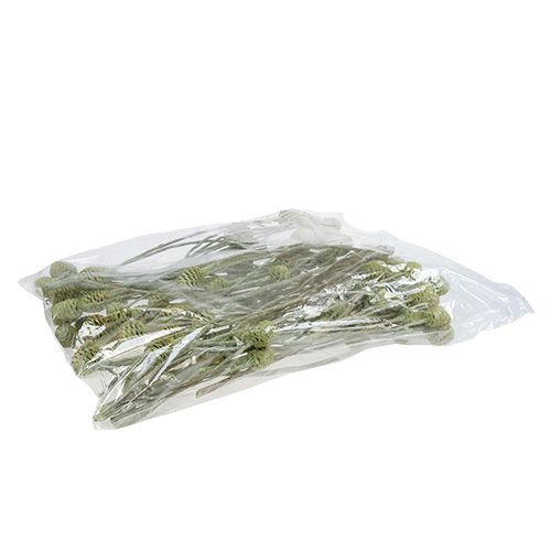Article Branche de Sabulosum 4-6 vert givré 25 pcs