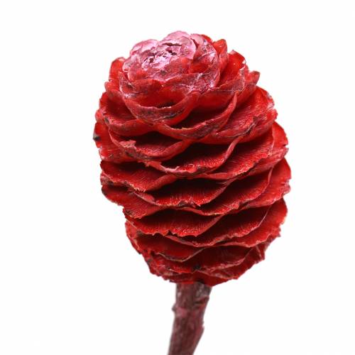Article Branches décoratives Sabulosum rouge givré 4-6 25 pcs