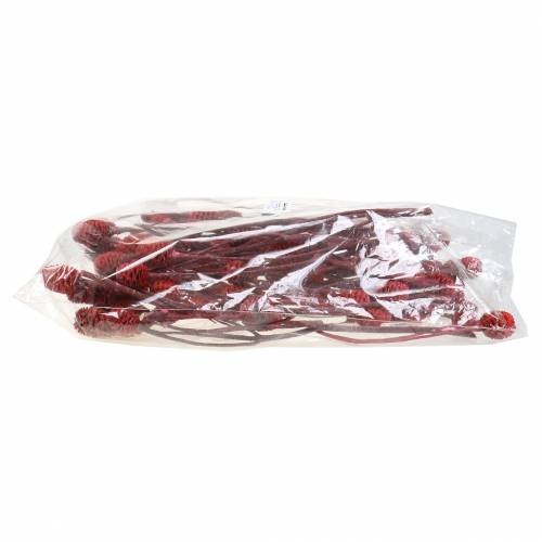 Article Branches décoratives Sabulosum rouge givré 4-6 25 pcs
