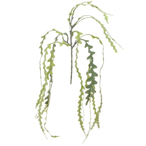 Article Feuille de scie artificielle Cactus Epiphyllum anguliger L68cm 3 pcs