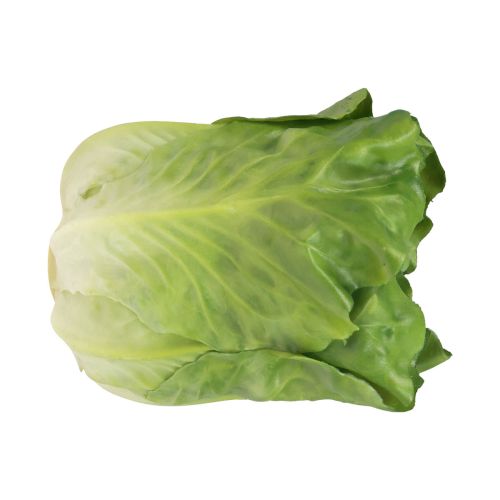 Floristik24 Tête de laitue verte salade décorative aliment factice 14cm
