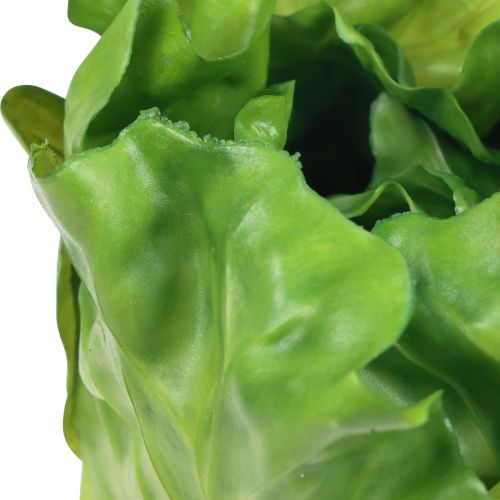 Floristik24 Tête de laitue verte salade décorative aliment factice 14cm
