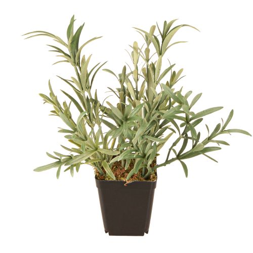 Floristik24 Sauge en pot Salvia Lavandulifolia Artificielle H25cm
