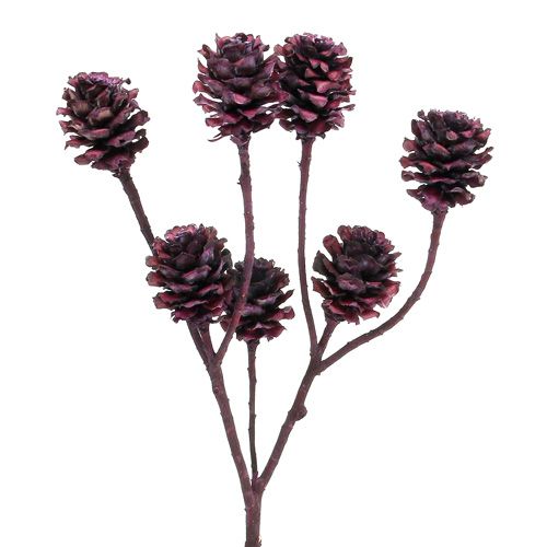 Branches de Salignum avec cônes Berry 25 pcs