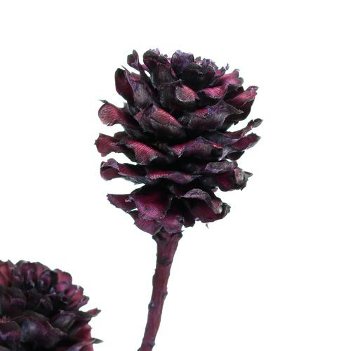 Article Branches de Salignum avec cônes Berry 25 pcs