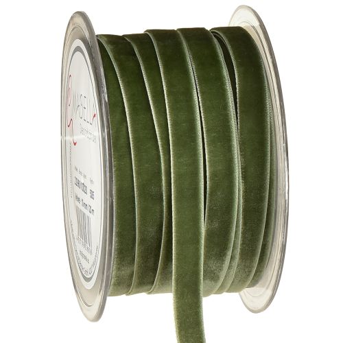Floristik24 Ruban de velours, ruban cadeau, ruban décoratif vert, largeur 10 mm, 20 m
