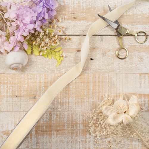 Ruban cadeau, ruban de velours élégant pour cadeaux et fleurs, 20 mm, 10 m | Floristik24.be