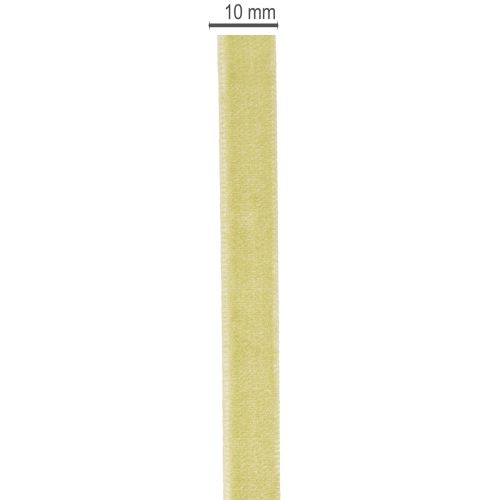 Ruban décoratif en velours pour l'art floral et les projets créatifs, 10 mm x 20 m | Floristik24.be