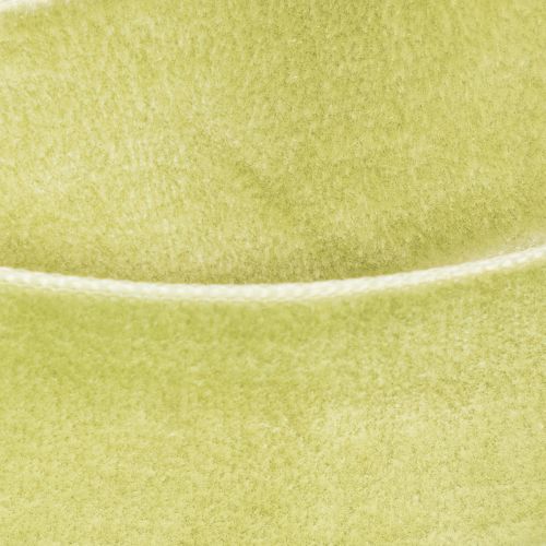Ruban décoratif en velours en rouleau pour emballage cadeau, 20 mm de large, 10 m de long | Floristik24.be