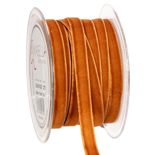 Ruban décoratif en velours, en rouleau, 10 mm de large, 20 m de long