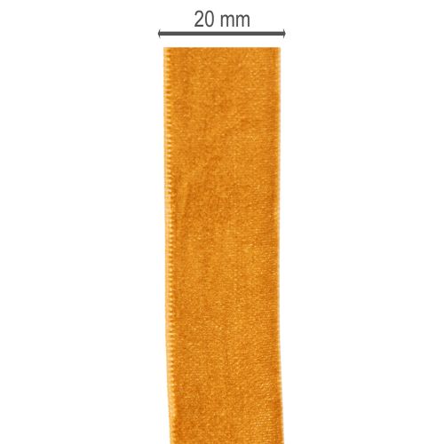 Ruban de velours, ruban décoratif pour loisirs créatifs et emballage, 20 mm, 10 m | Floristik24.be