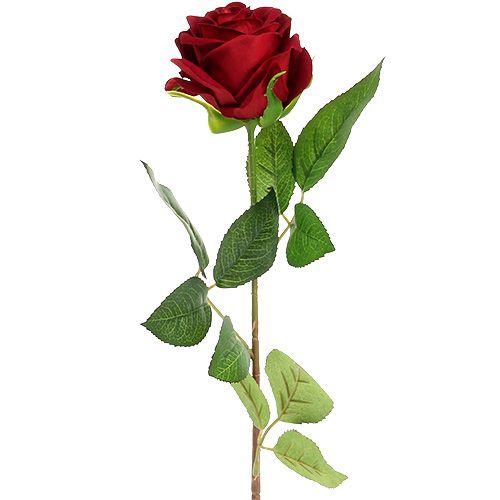 Floristik24 Roses de velours rouge 65cm 6P