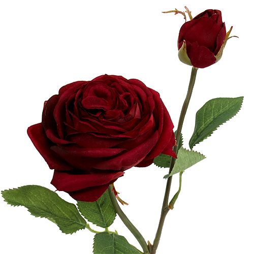 Floristik24 Rose de velours en rouge Ø9cm L38cm