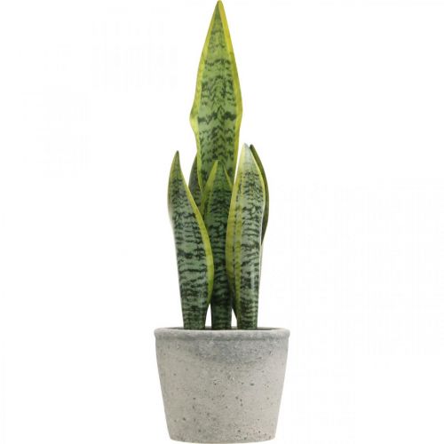 Floristik24 Arc artificiel en chanvre, plante verte en pot, Sansevieria H39cm Ø12cm