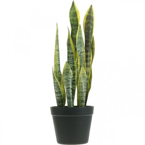 Floristik24 Sansevieria, fleur artificielle, noeud chanvre en pot H50cm Ø14cm