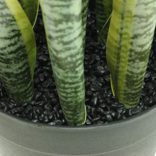 Floristik24 Sansevieria, fleur artificielle, noeud chanvre en pot H50cm Ø14cm