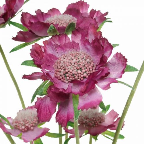 Floristik24 Scabious fleur artificielle rose fleur d'été H64cm bouquet de 3pcs