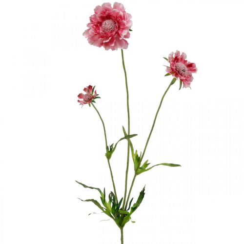 Floristik24 Décoration florale artificielle, fleur artificielle scabious rose 64cm lot de 3pcs