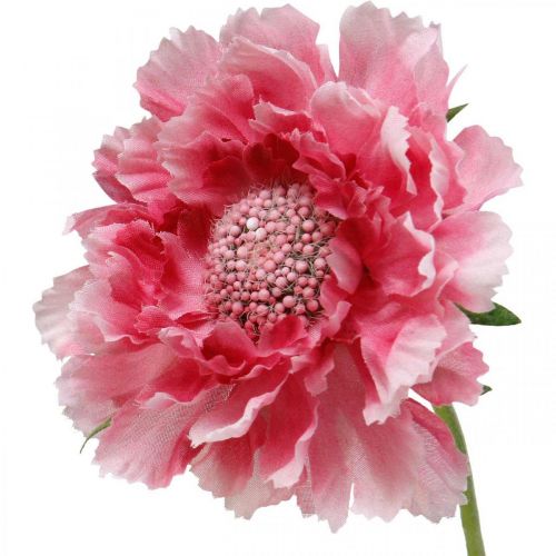 Floristik24 Décoration florale artificielle, fleur artificielle scabious rose 64cm lot de 3pcs