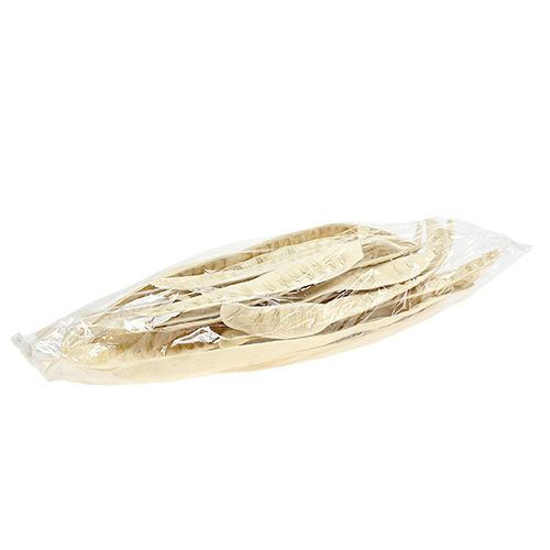 Article Pod Scaletta blanchi 25 pcs