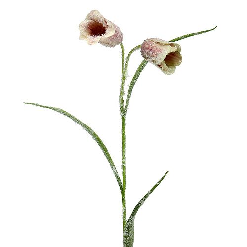 Echecs Fleurs Blanc-Rose Neige L45cm 6pcs