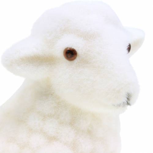 Floristik24 Agneau de Pâques décoratif couché floqué blanc H15cm