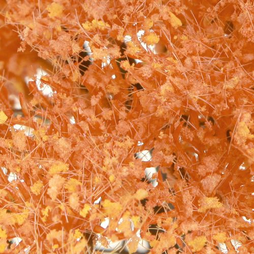 Article Fleurs artificielles d&#39;achillée millefeuille Achillea artificielle orange 30cm 6 pcs