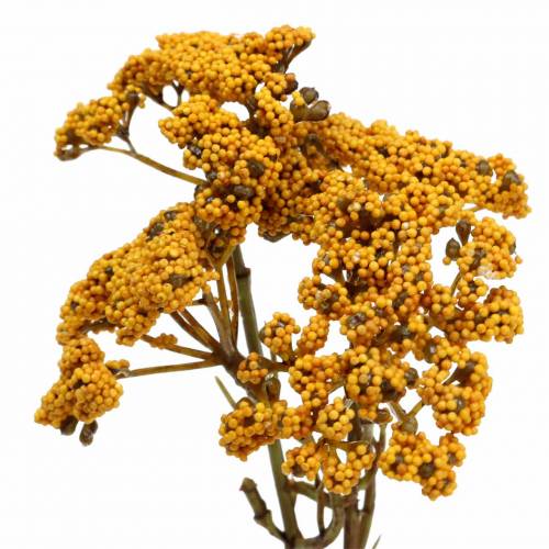 Floristik24 Yarrow artificiel jaune 74cm 3pcs