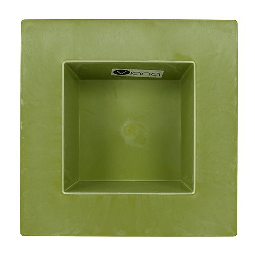 Floristik24 Jardinière carrée vert clair 20cm x 20cm