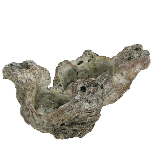 Floristik24 Bol bois racine 25,5cm x 14cm H11,5cm