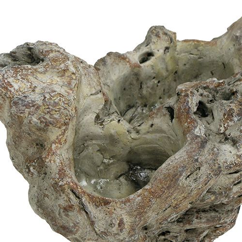 Floristik24 Bol bois racine 25,5cm x 14cm H11,5cm