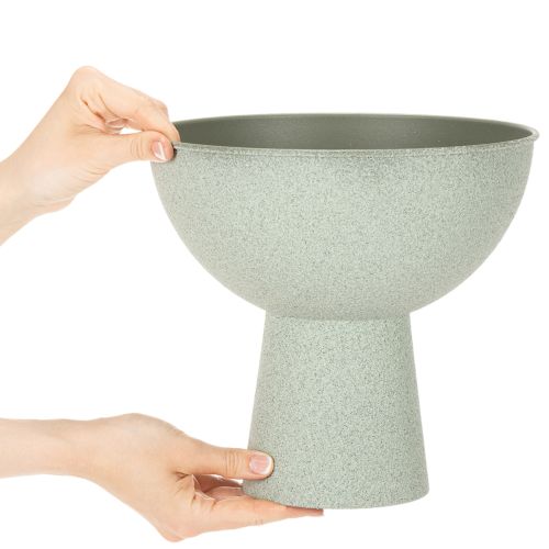 Bol décoratif avec support pour plantes, 25 cm | Floristik24.be