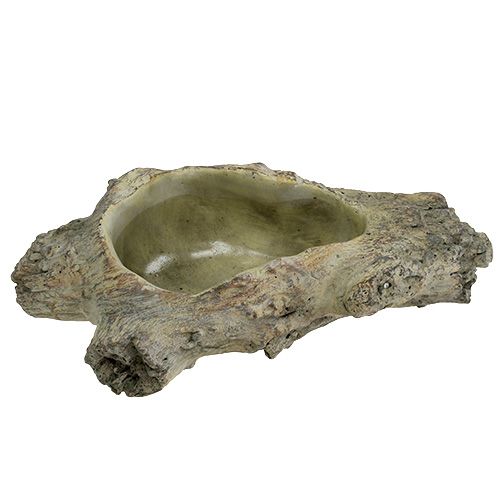 Floristik24 Bol à planter 30cm x 13cm H8.5cm