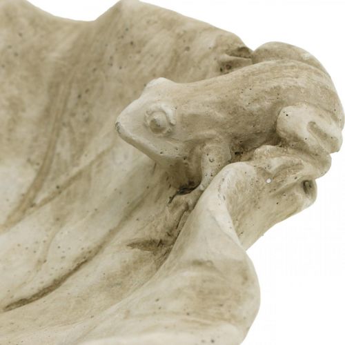 Article Bain d&#39;oiseau avec grenouilles, figurine de jardin en béton, bain d&#39;oiseau feuille de lotus L21cm H7cm
